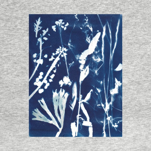 Wildflowers cyanotype sunprint by kittyvdheuvel